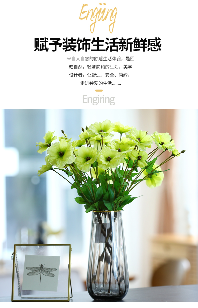 蝴蝶洋牡丹_06.jpg