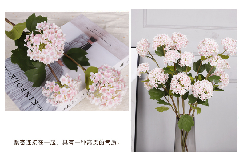 3头小绣球_07.jpg
