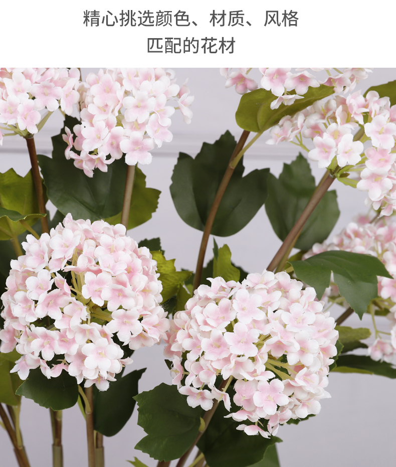 3头小绣球_06.jpg