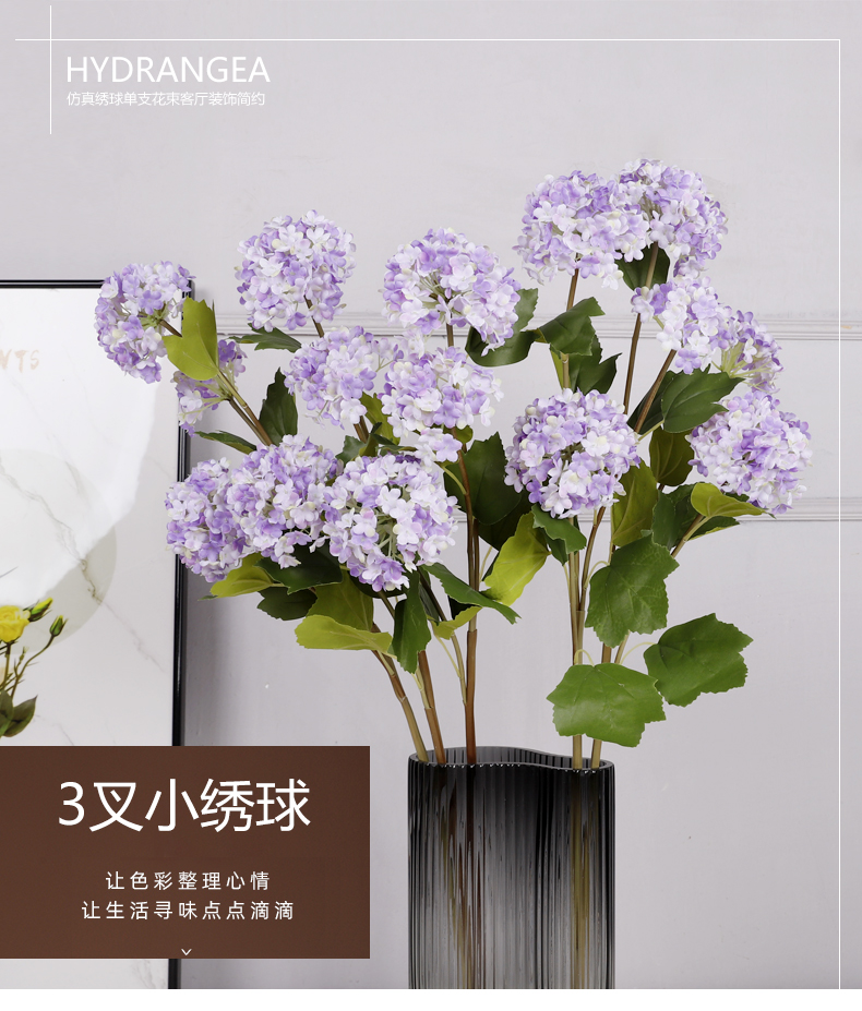 3头小绣球_01.jpg
