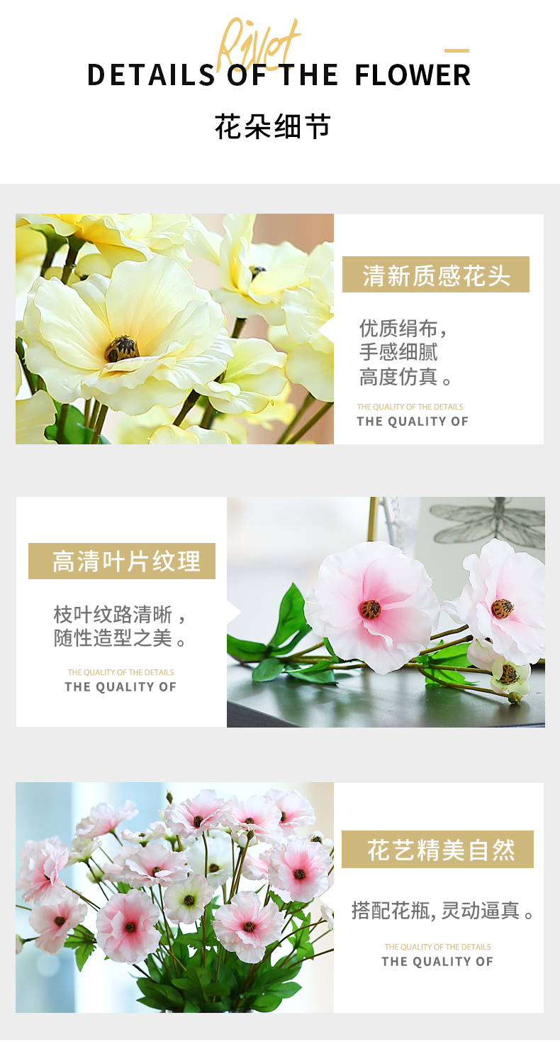 蝴蝶洋牡丹_03.jpg
