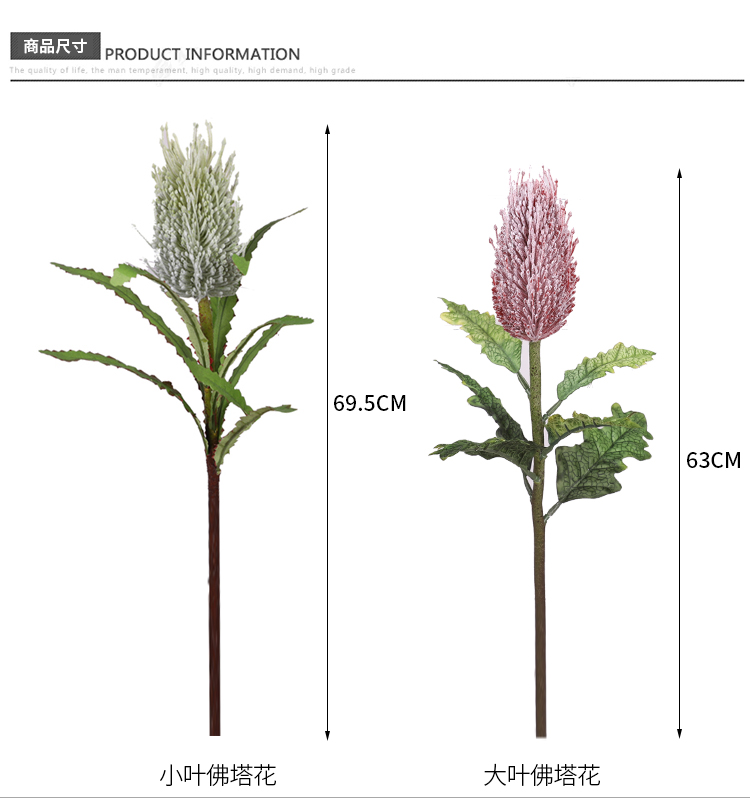 植毛佛塔花_02.jpg