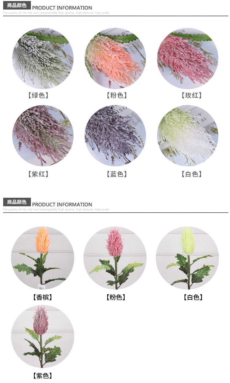 植毛佛塔花_03.jpg