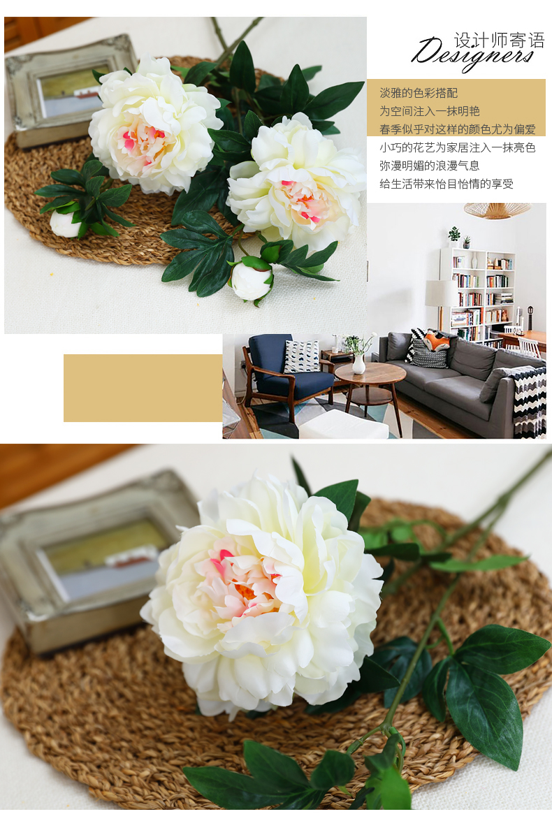 欧丽菲-牡丹_03.jpg