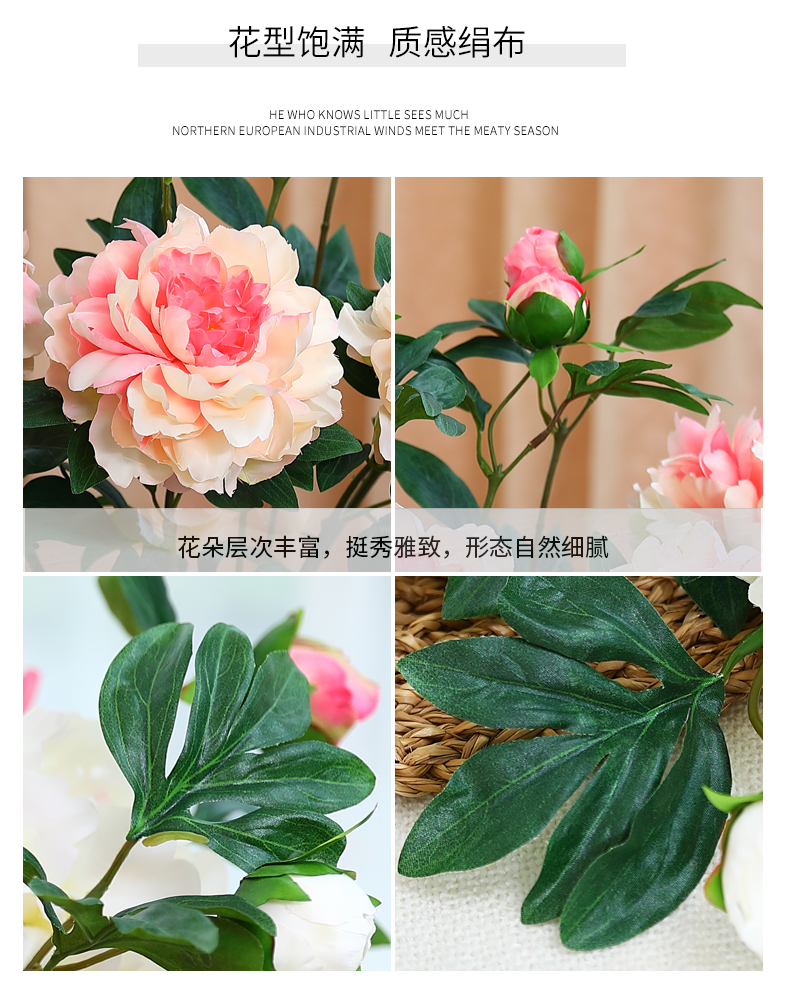 欧丽菲-牡丹_09.jpg