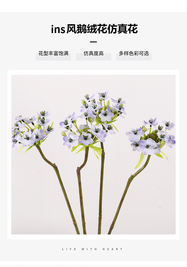 单支鹅绒花_05.jpg