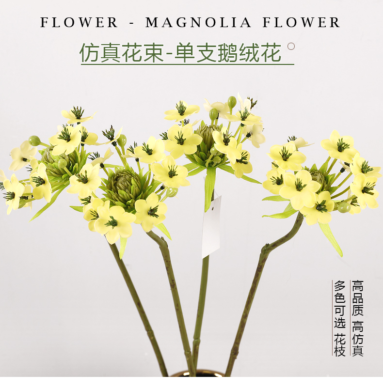 单支鹅绒花_01.jpg