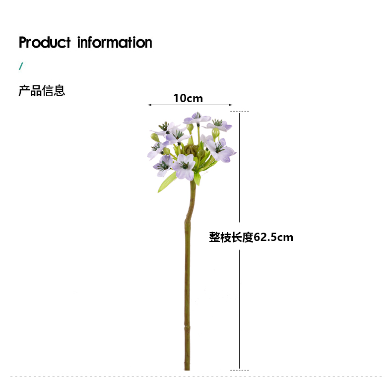单支鹅绒花_03.jpg