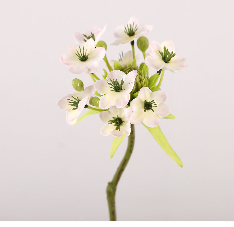 单支鹅绒花_08.jpg