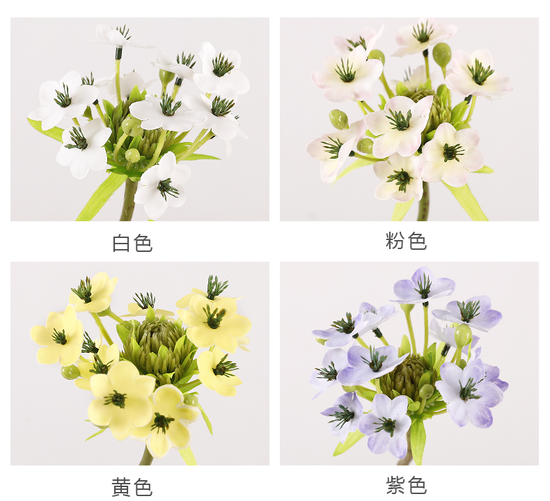 单支鹅绒花_04.jpg