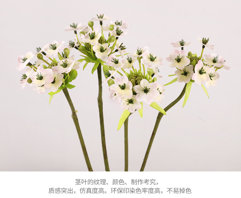 单支鹅绒花_07.jpg